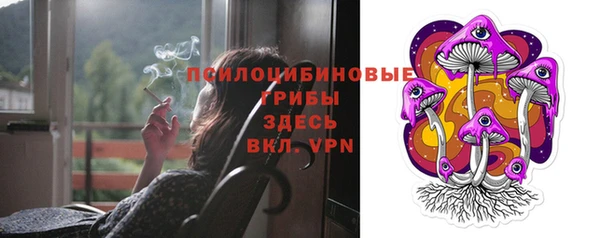 сатива Балахна